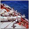 Click image for larger version

Name:	85-Arabian Reefer, marts 1966, Merca, Somalia,bananer er nu blevet svunget op ad skibssiden, og .jpg
Views:	452
Size:	130.2 KB
ID:	17589